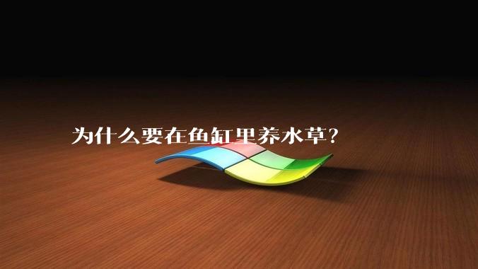 为什么要在鱼缸里养水草？